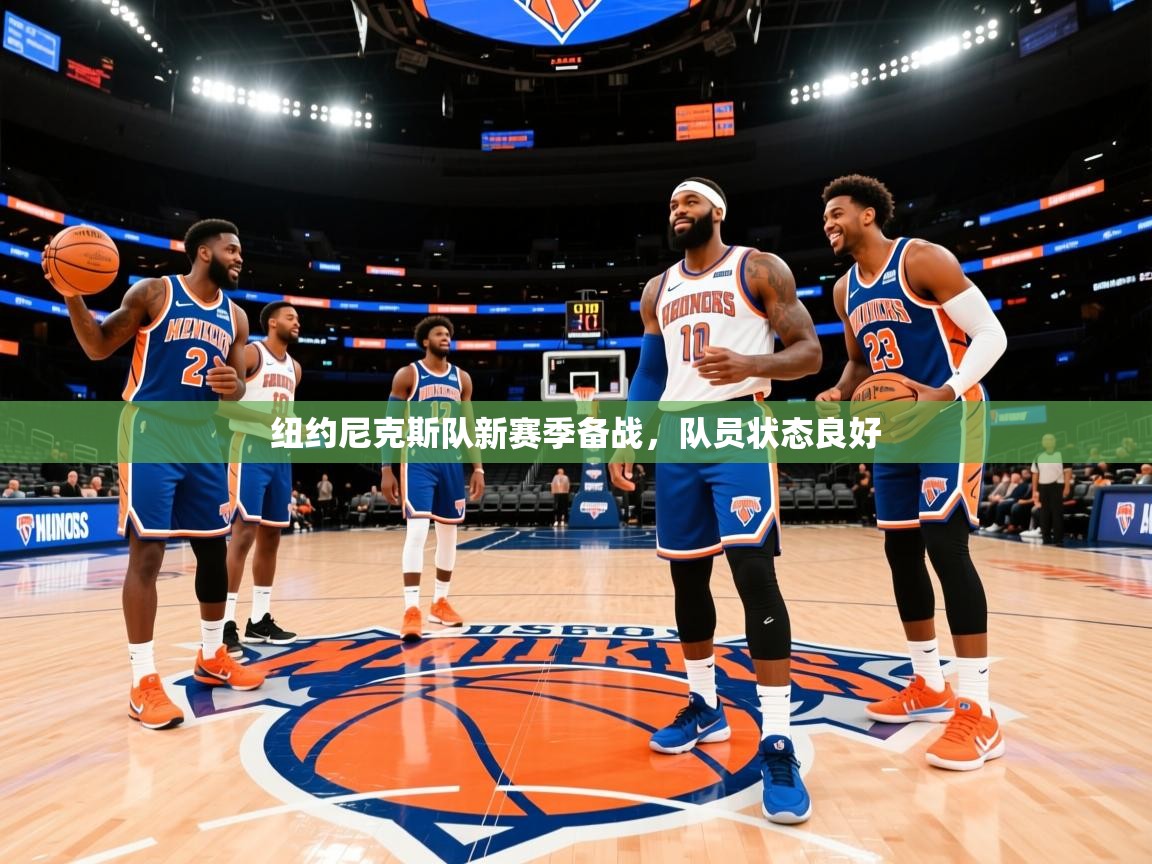 纽约尼克斯队新赛季备战,队员状态良好 纽约尼克斯队新赛季备战,队员状态良好